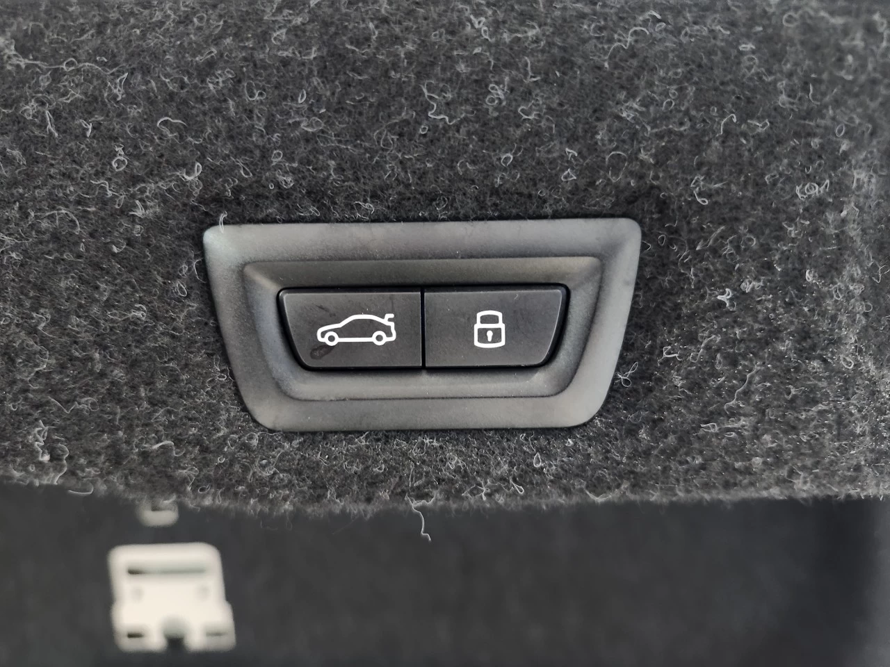 2024 BMW 5 Series 530i xDrive Image principale